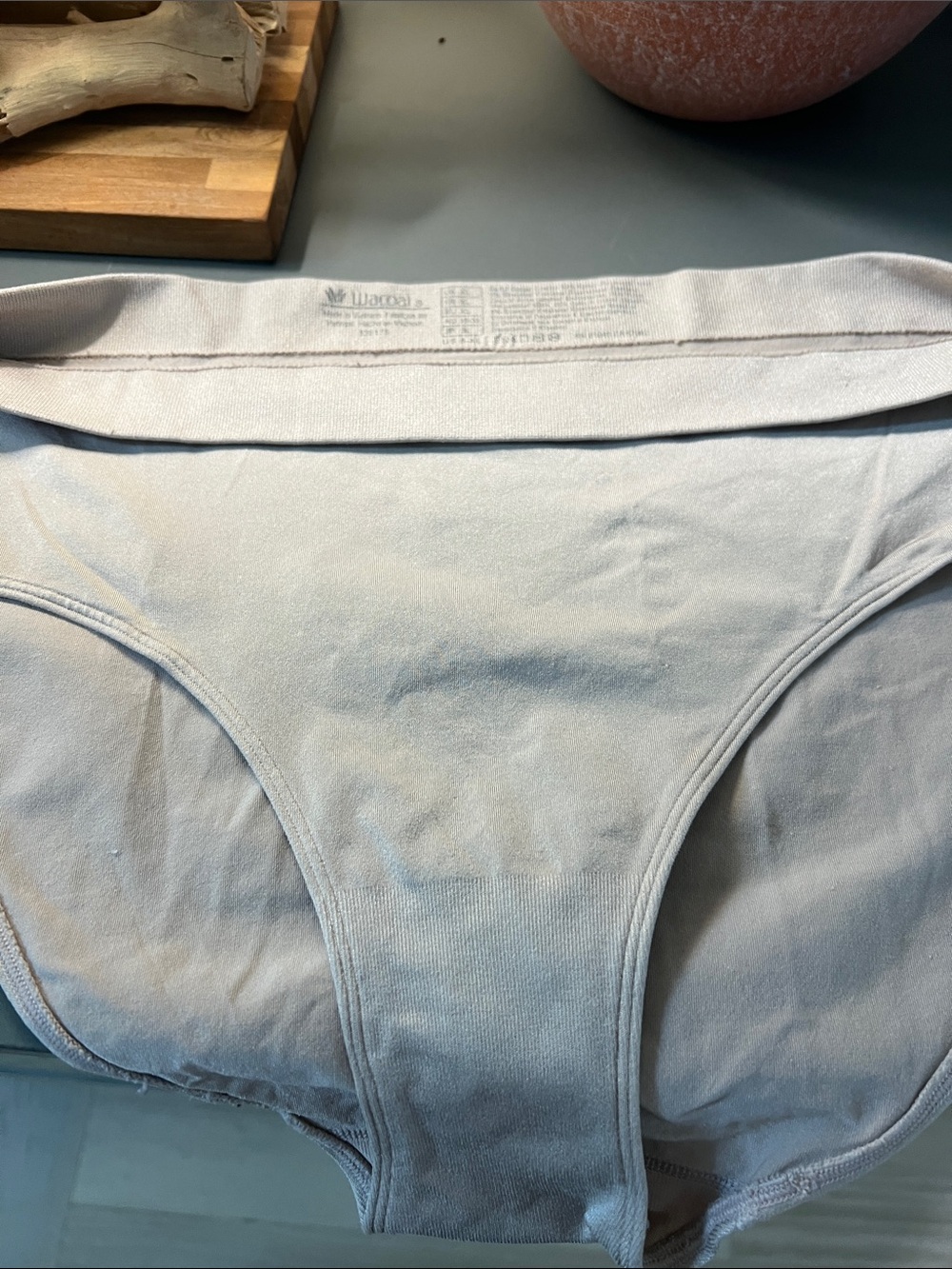 Wacoal Women's Light Gray spandex Brief Panty